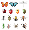 http://interactivesites.weebly.com/insects-and-bugs.html