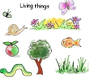 http://interactivesites.weebly.com/living-things.html